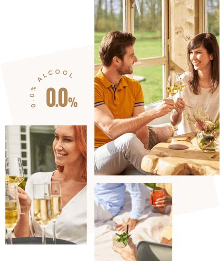 Cépages Chardonnay, un vin blanc sans alcool - Vintense